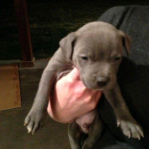 Meet your Posher, Marie - Picture 1 of 1